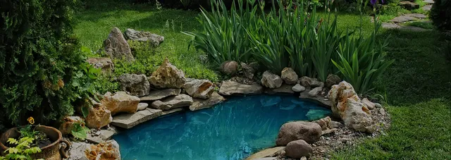 Lush layered garden with tropical planting and a koi pond water feature
